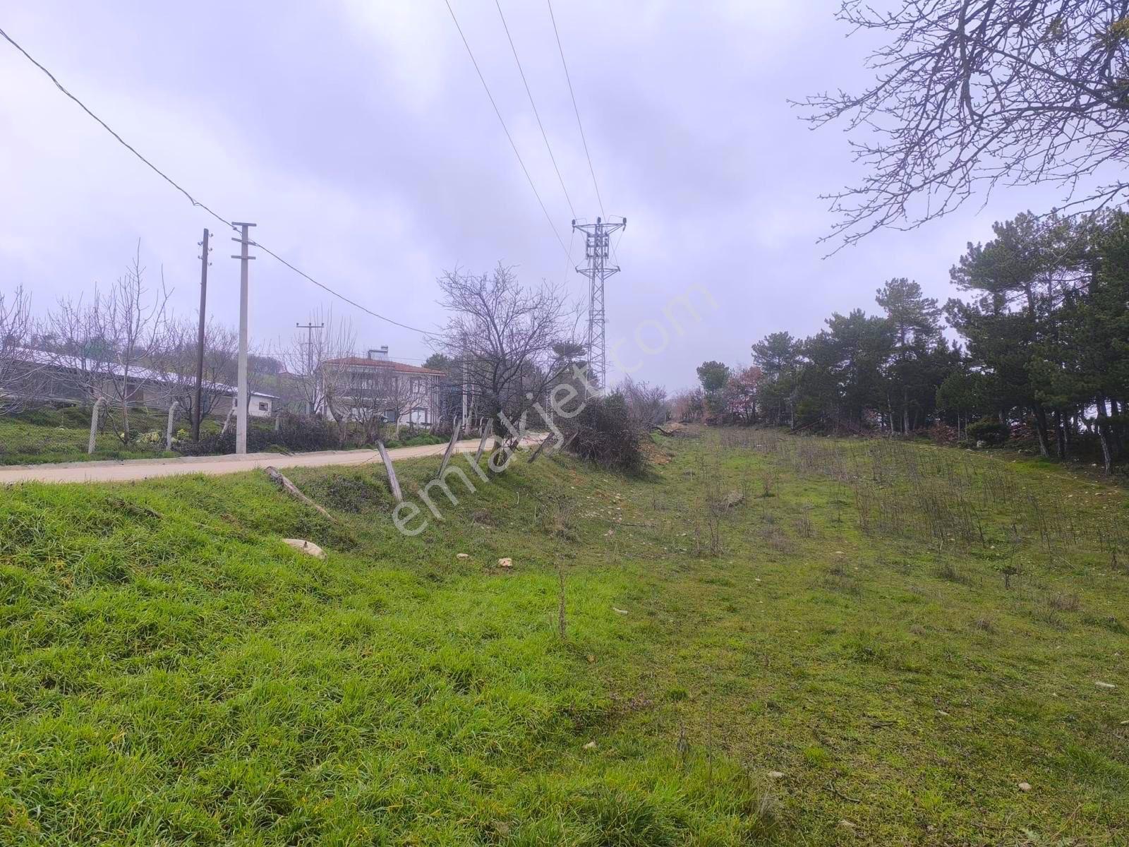 Sakarya Taraklı Avdan Mahallesi’nde 979 M² Satılık Arsa
