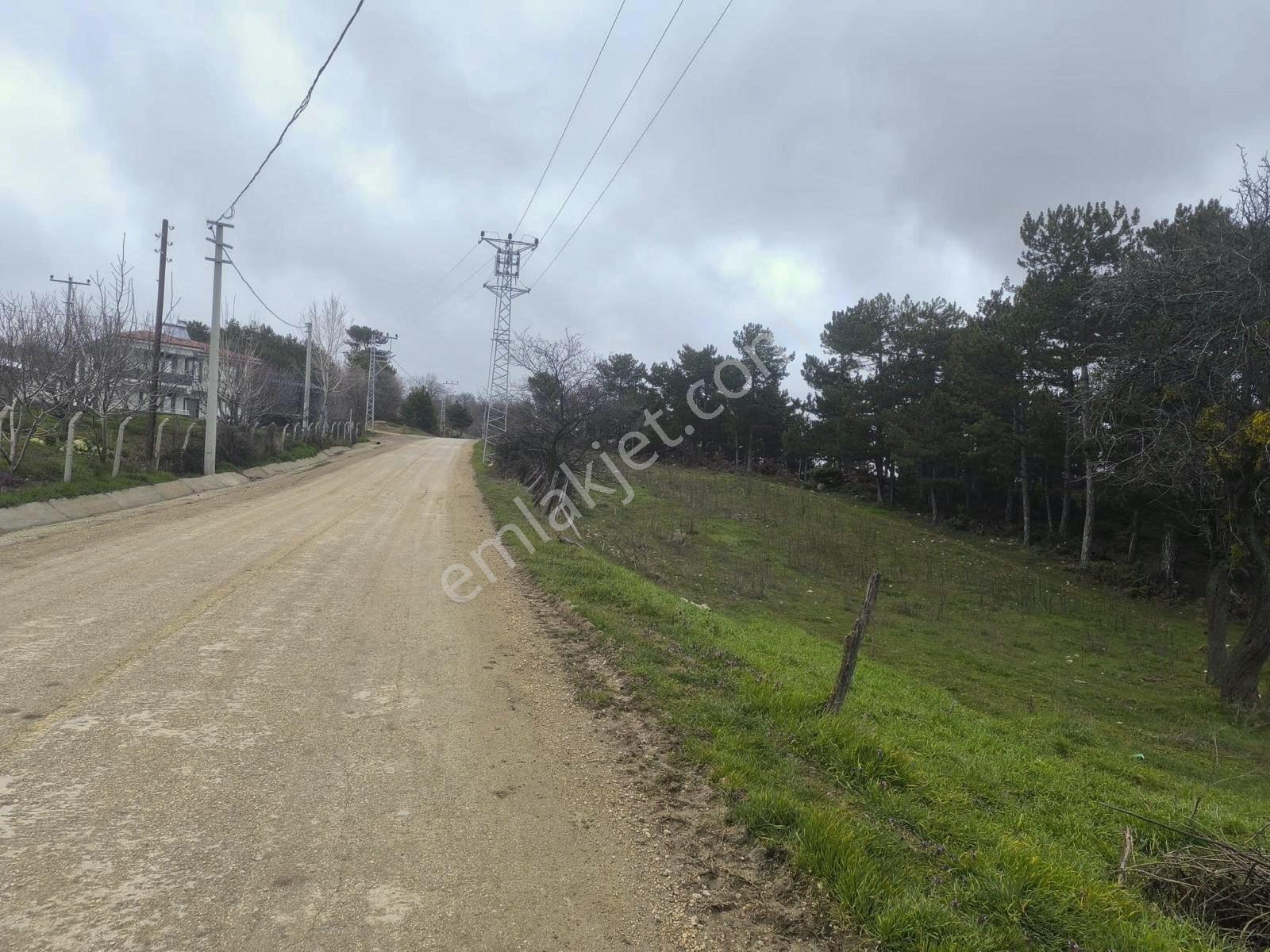 Sakarya Taraklı Avdan Mahallesi’nde 979 M² Satılık Arsa - Görsel 8