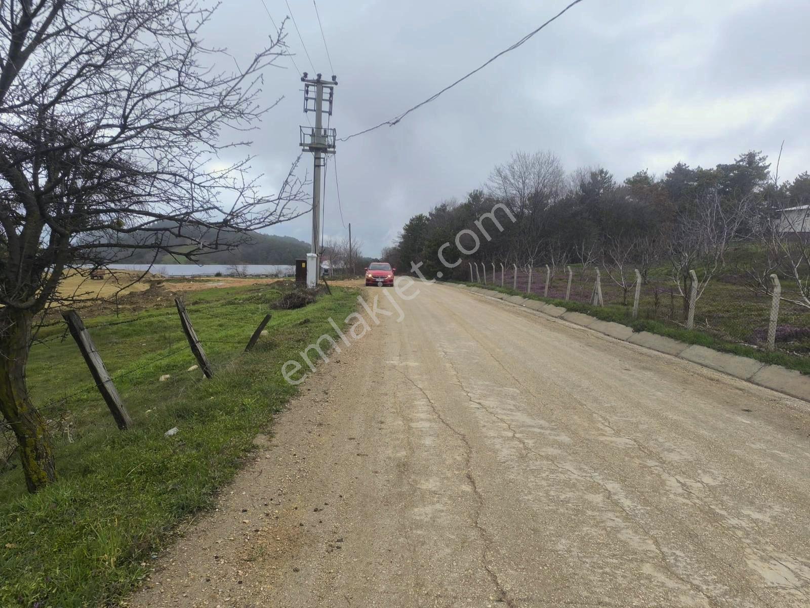 Sakarya Taraklı Avdan Mahallesi’nde 979 M² Satılık Arsa - Görsel 9
