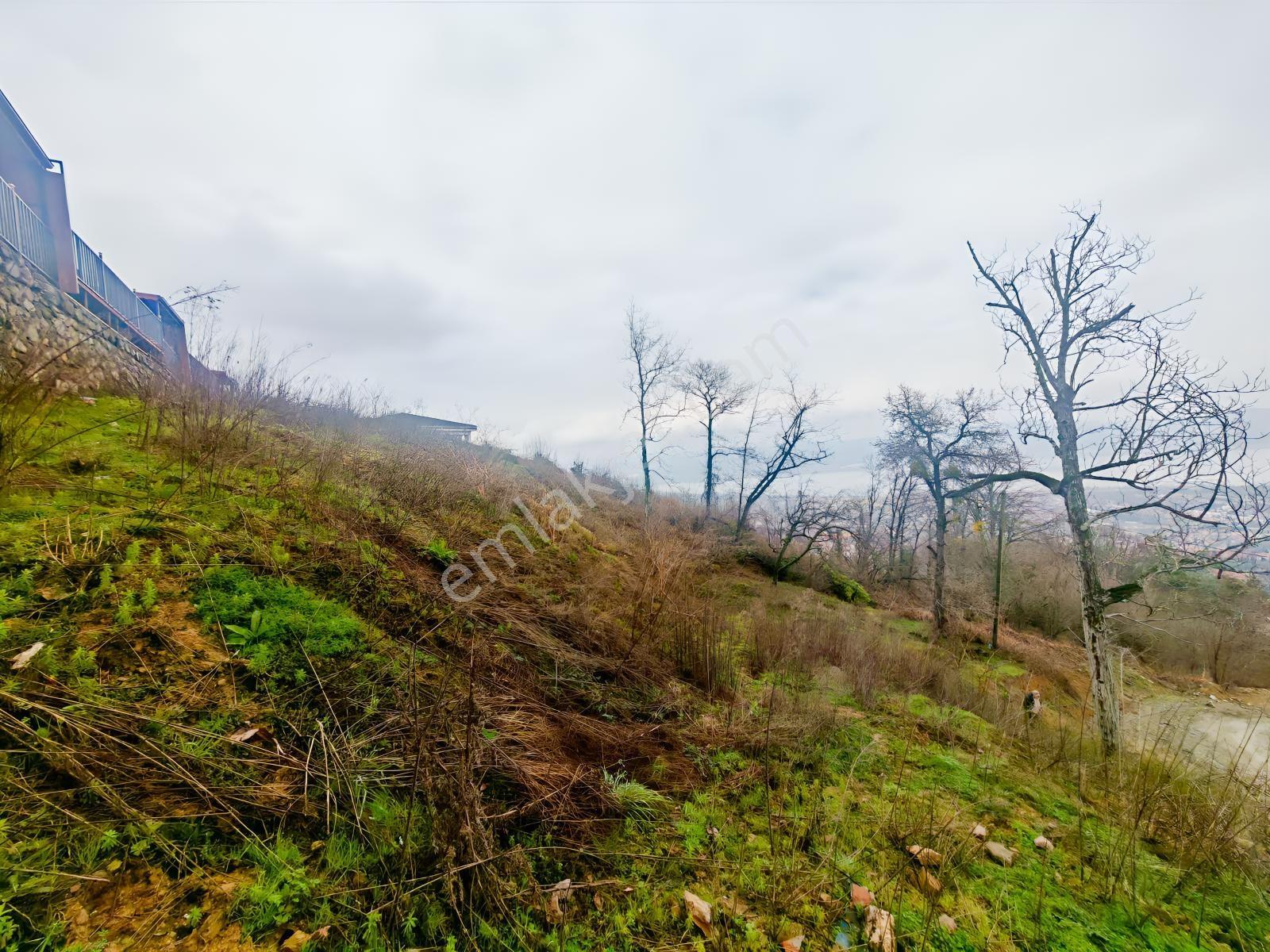 Turyap'tan Sapanca Kurtköyde 1298 M2 Satılık Villa Arsası - Görsel 21