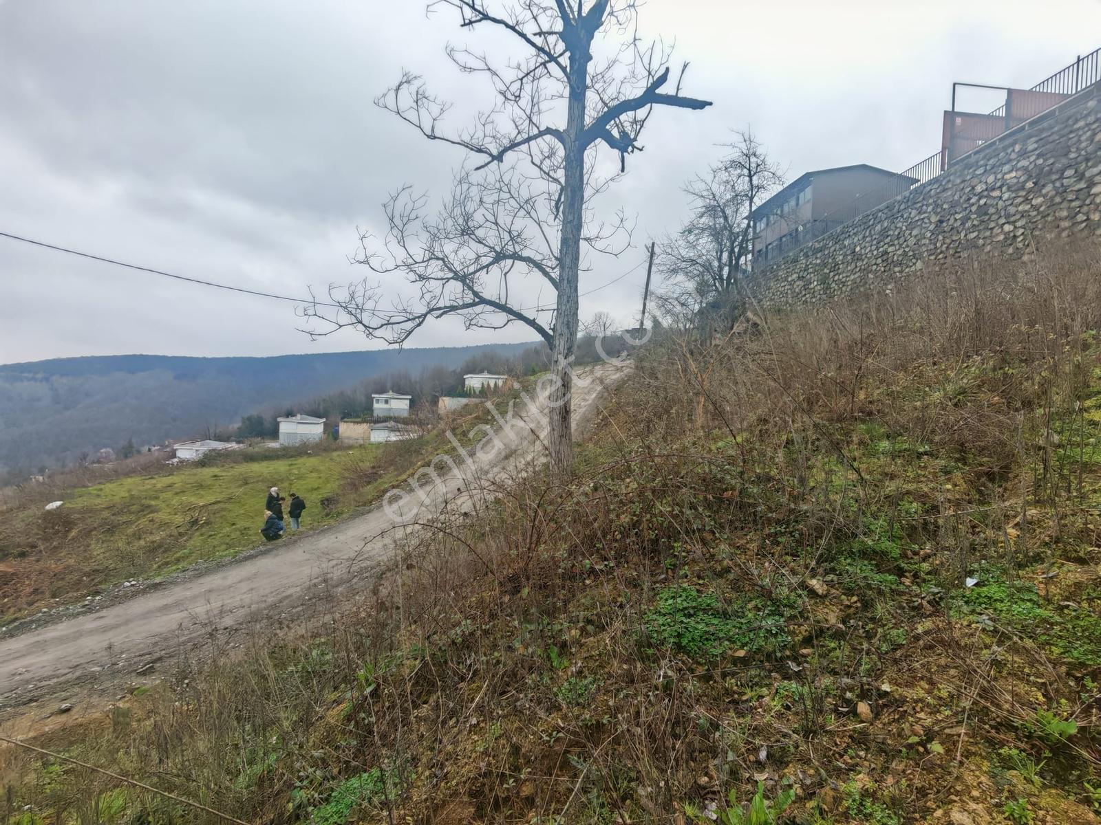 Turyap'tan Sapanca Kurtköyde 1298 M2 Satılık Villa Arsası - Görsel 12
