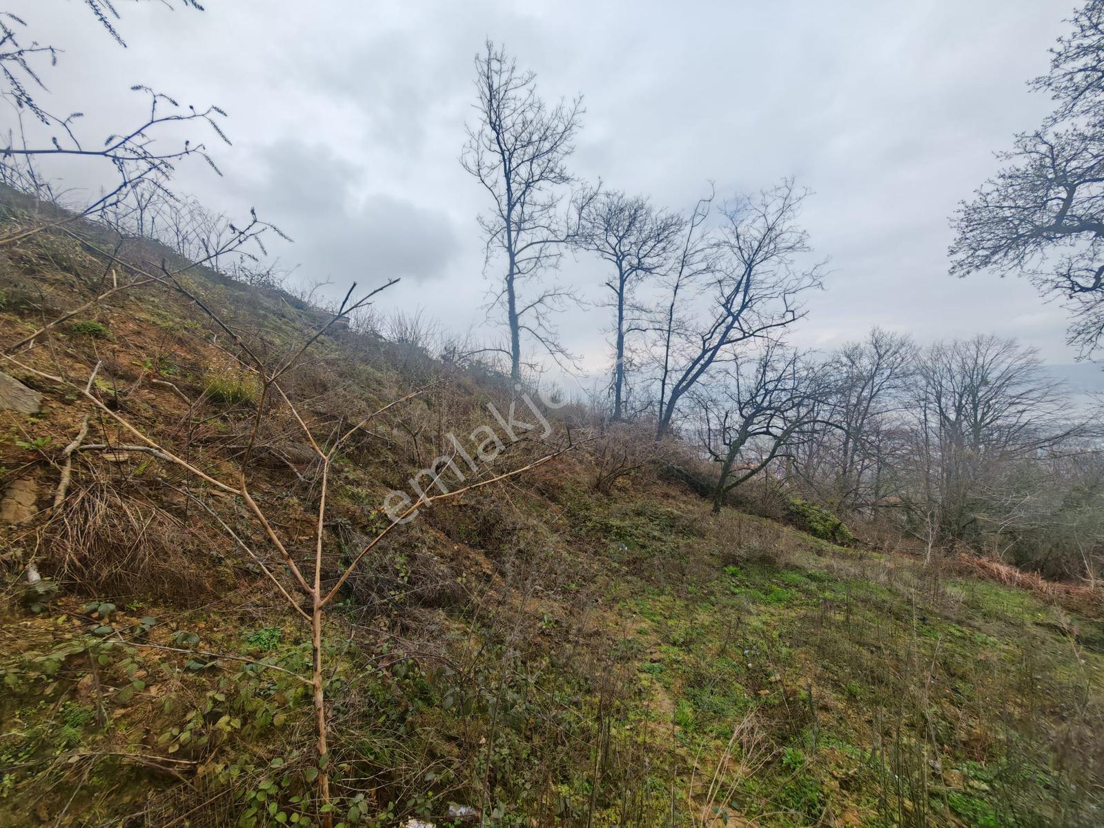 Turyap'tan Sapanca Kurtköyde 1298 M2 Satılık Villa Arsası - Görsel 25