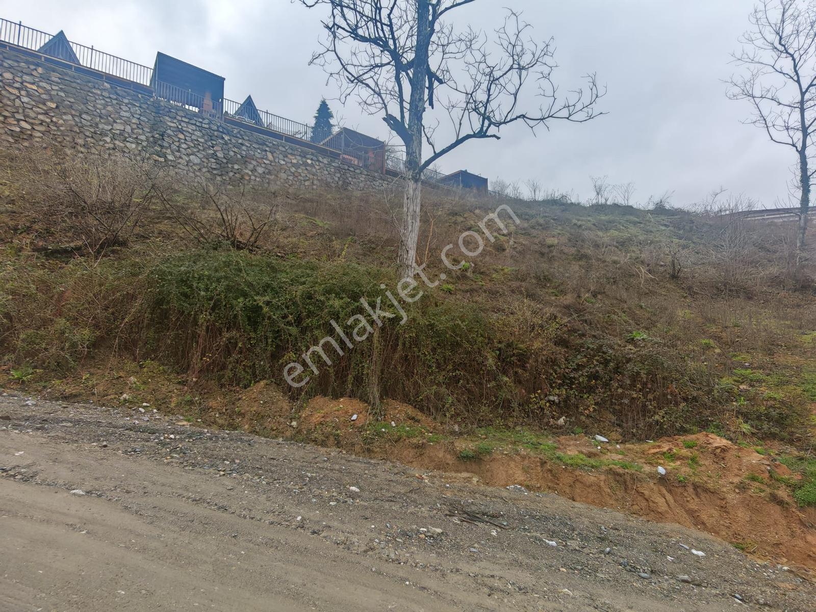 Turyap'tan Sapanca Kurtköyde 1298 M2 Satılık Villa Arsası - Görsel 5