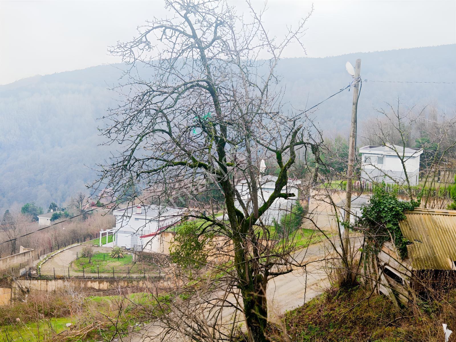 Turyap'tan Sapanca Kurtköyde 1298 M2 Satılık Villa Arsası - Görsel 15