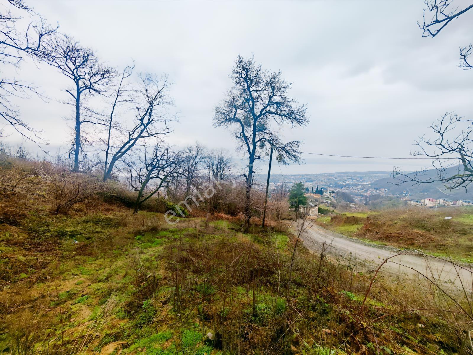 Turyap'tan Sapanca Kurtköyde 1298 M2 Satılık Villa Arsası - Görsel 26