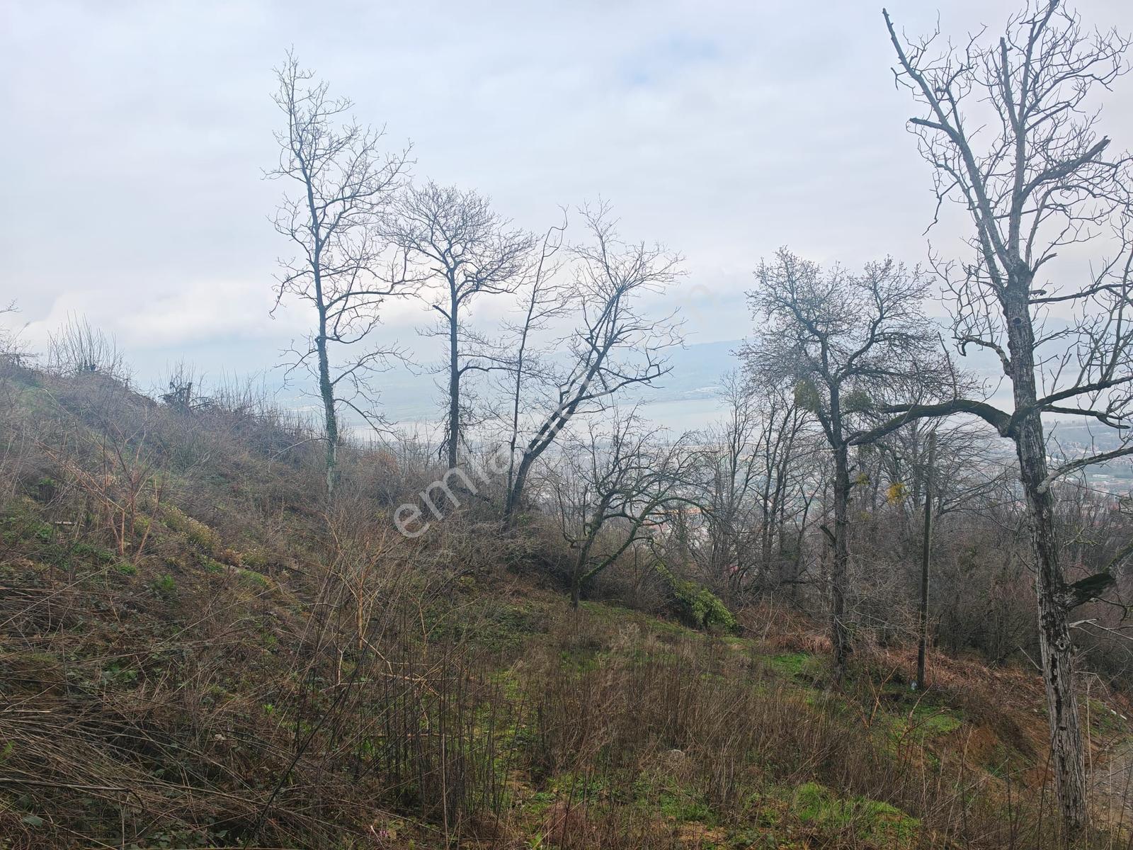 Turyap'tan Sapanca Kurtköyde 1298 M2 Satılık Villa Arsası - Görsel 20