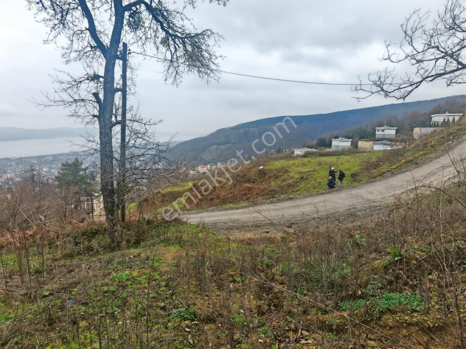 Turyap'tan Sapanca Kurtköyde 1298 M2 Satılık Villa Arsası - Görsel 7