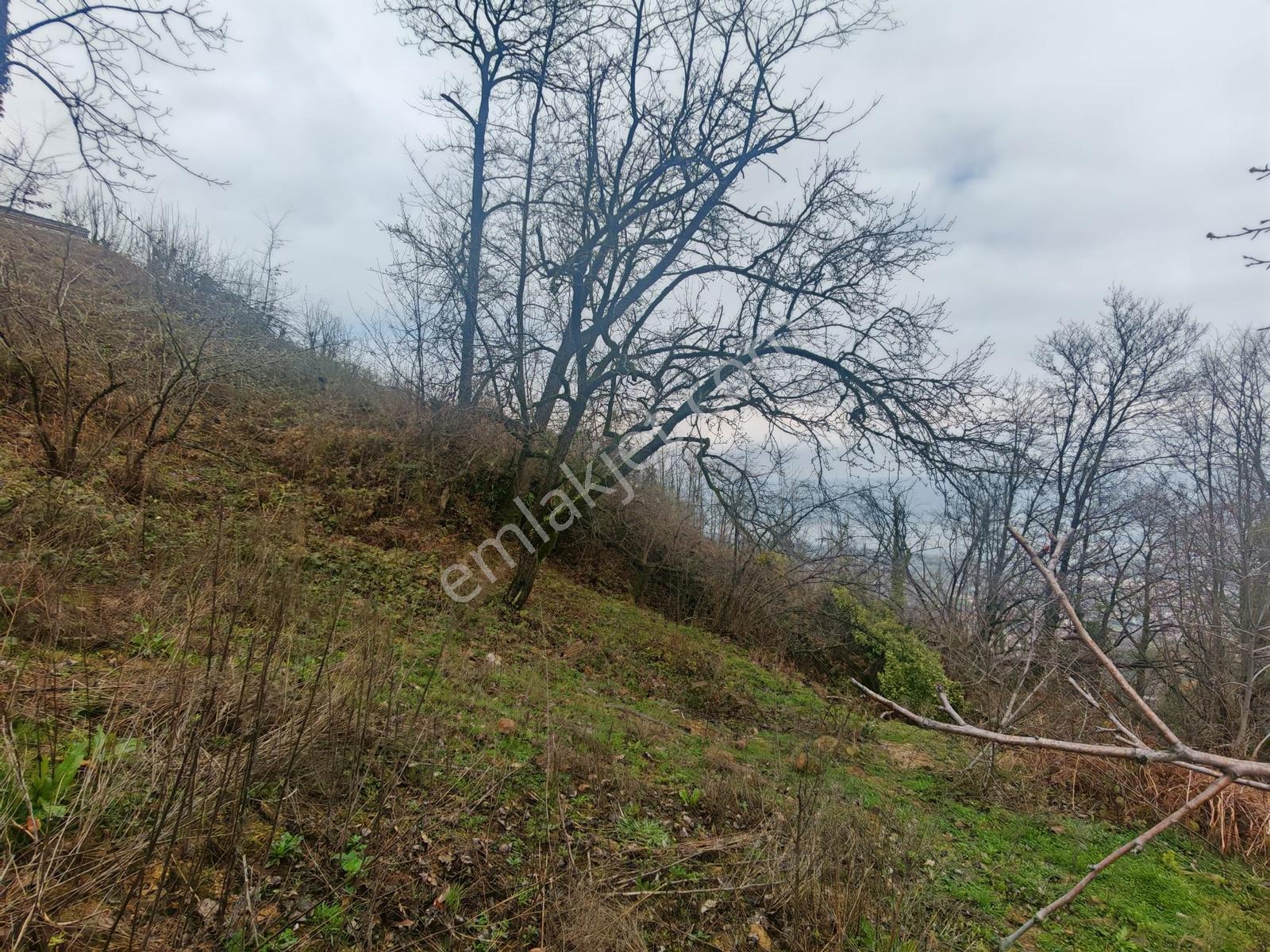 Turyap'tan Sapanca Kurtköyde 1298 M2 Satılık Villa Arsası - Görsel 10