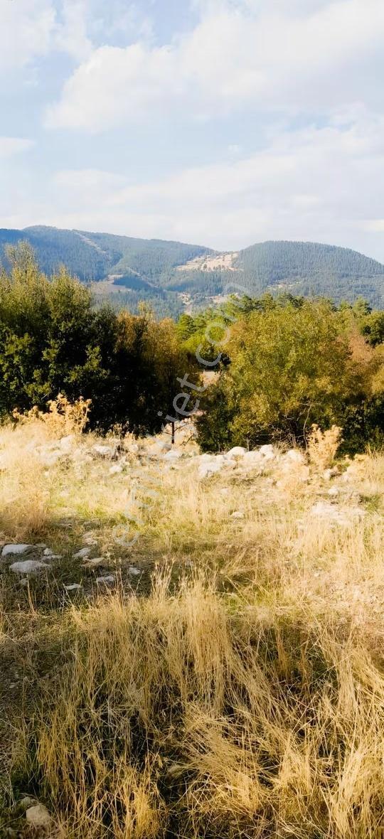 Geyikbayırı Sinan Değirmeni'nde 1.705m² Yolu Ve Altyapısı Hazır - Görsel 5
