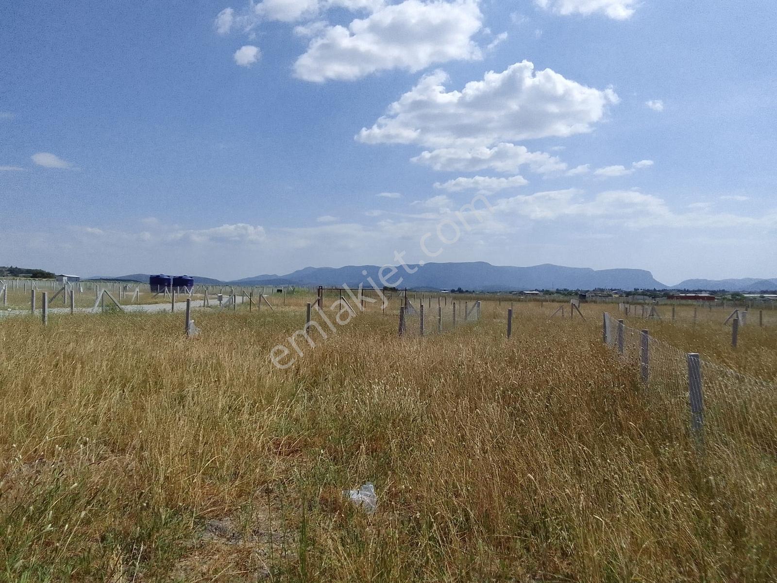 Bal Gayrimenkul- Tekelide Elektrik Su Hazır 270 M2 Bahçe - Görsel 11