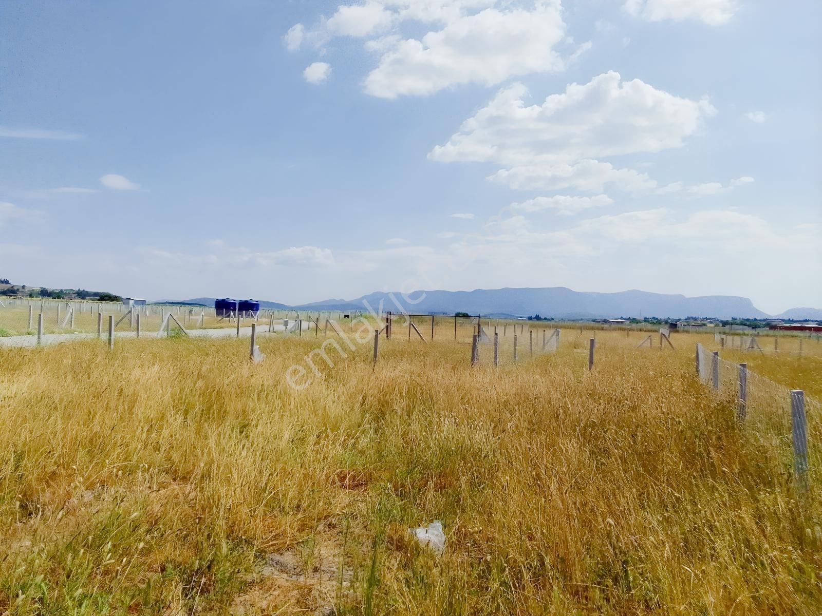 Bal Gayrimenkul- Tekelide Elektrik Su Hazır 270 M2 Bahçe - Görsel 10