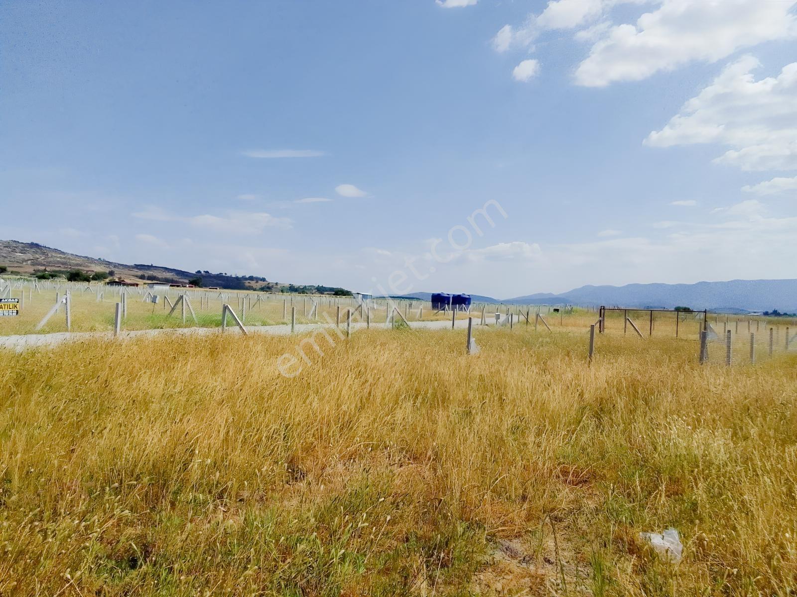 Bal Gayrimenkul- Tekelide Elektrik Su Hazır 270 M2 Bahçe - Görsel 9