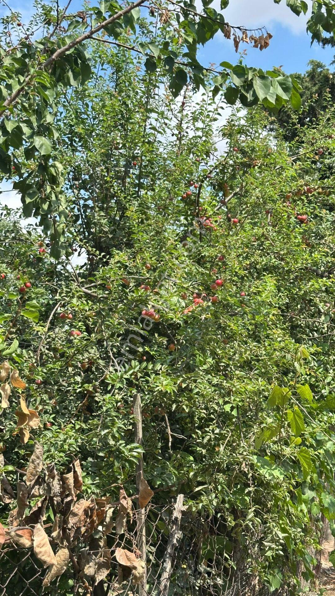 Başokur'dan Silivri Alipaşa,da 1081. 2 Adet Villa İmarlı Arsa - Görsel 11
