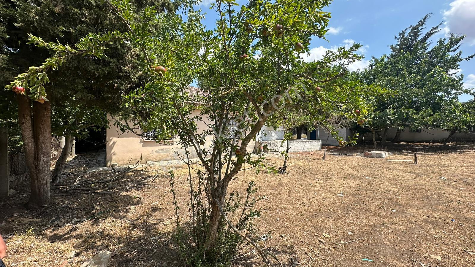 Başokur'dan Silivri Alipaşa,da 1081. 2 Adet Villa İmarlı Arsa - Görsel 15