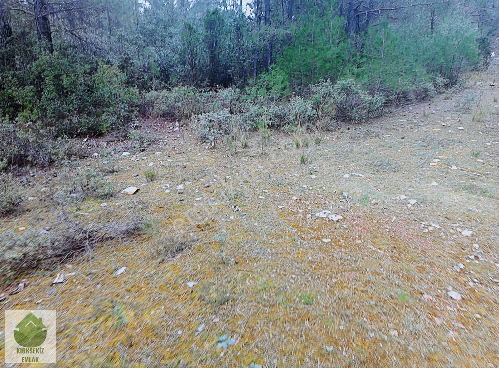 Muğla Menteşe Kozağaçta Orman İçinde Yolu Olan 3542 M² Tarla... - Görsel 28
