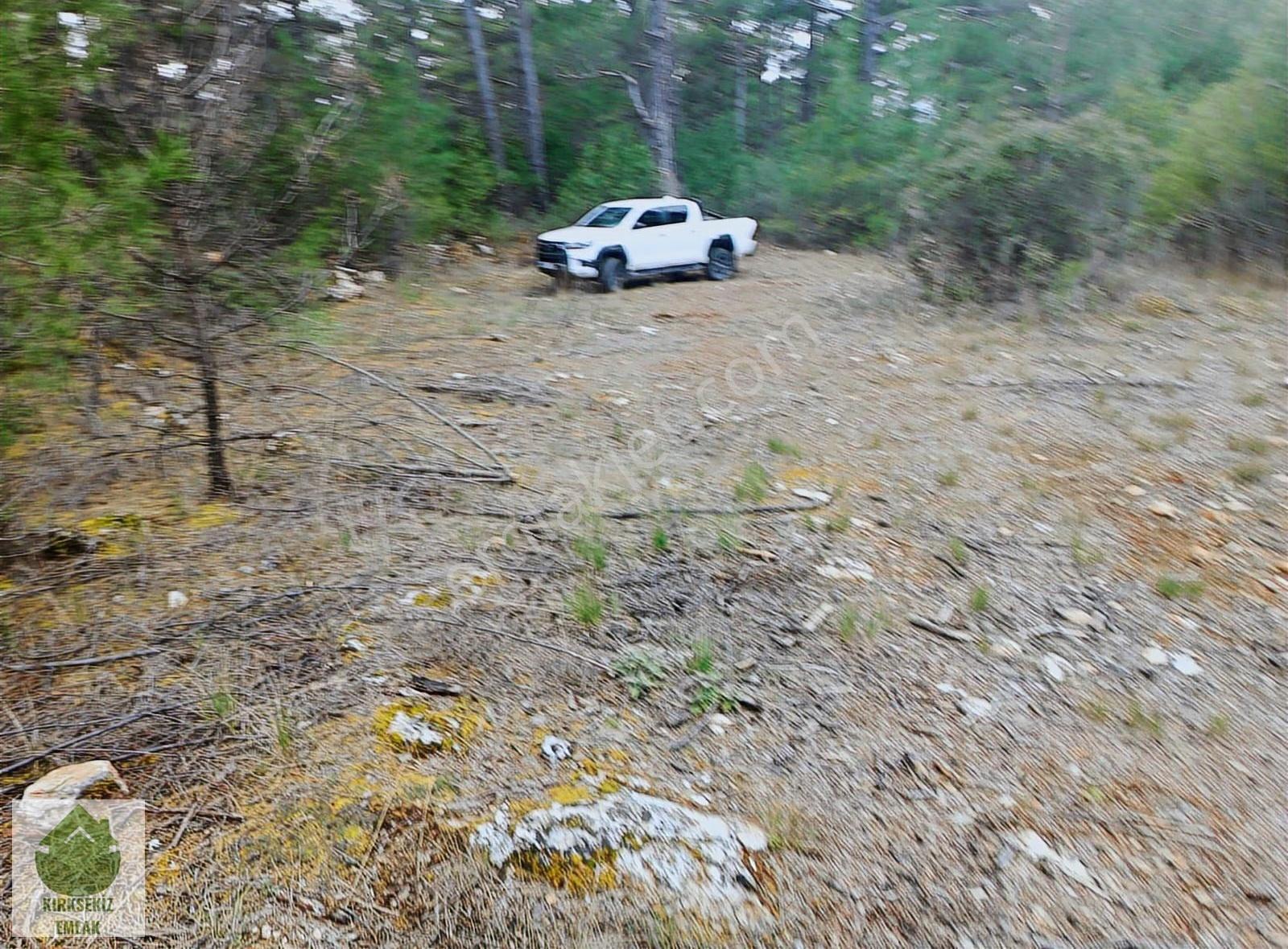 Muğla Menteşe Kozağaçta Orman İçinde Yolu Olan 3542 M² Tarla... - Görsel 11