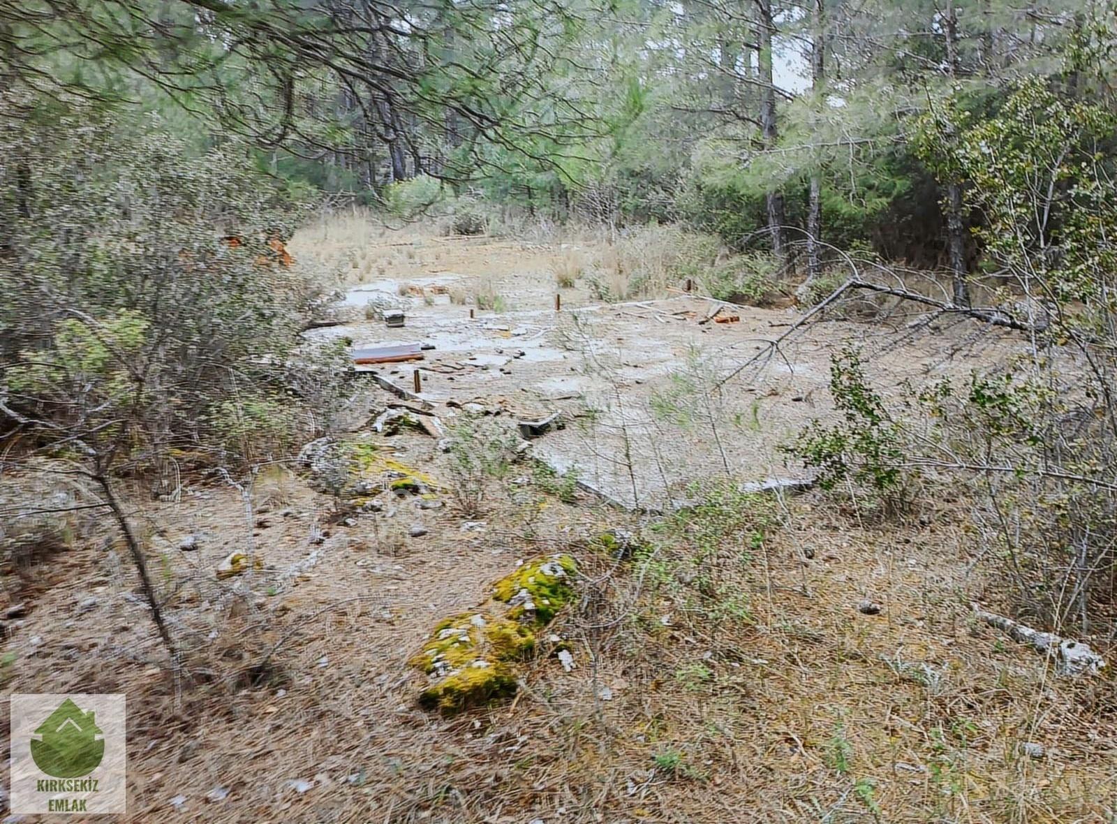 Muğla Menteşe Kozağaçta Orman İçinde Yolu Olan 3542 M² Tarla... - Görsel 12
