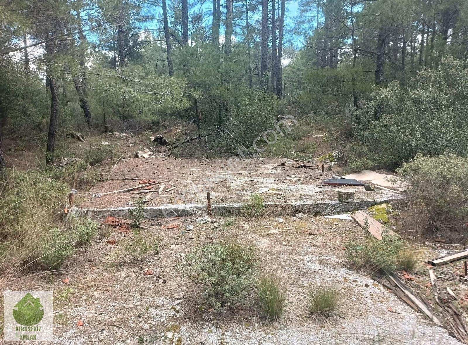 Muğla Menteşe Kozağaçta Orman İçinde Yolu Olan 3542 M² Tarla... - Görsel 32