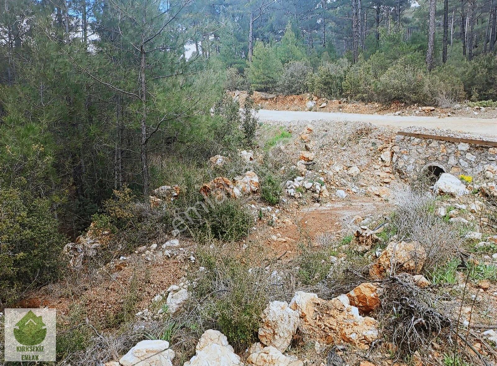 Muğla Menteşe Kozağaçta Orman İçinde Yolu Olan 3542 M² Tarla... - Görsel 10