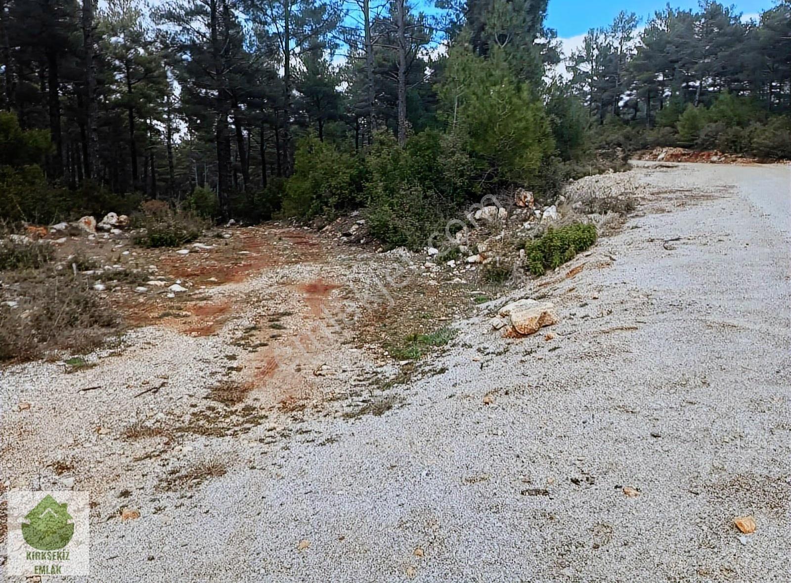 Muğla Menteşe Kozağaçta Orman İçinde Yolu Olan 3542 M² Tarla... - Görsel 23