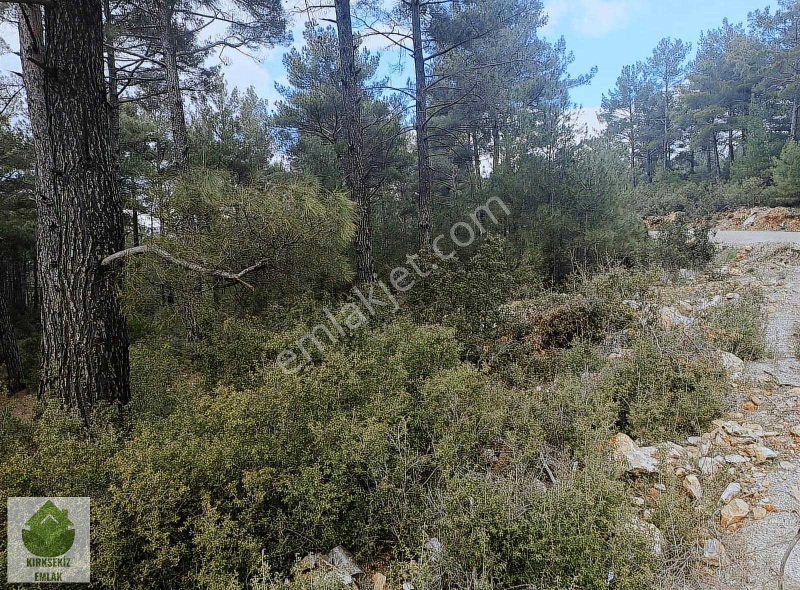 Muğla Menteşe Kozağaçta Orman İçinde Yolu Olan 3542 M² Tarla... - Görsel 20