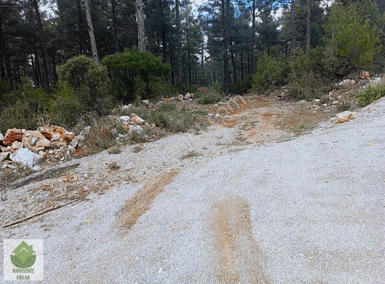 Muğla Menteşe Kozağaçta Orman İçinde Yolu Olan 3542 M² Tarla... - Görsel 18