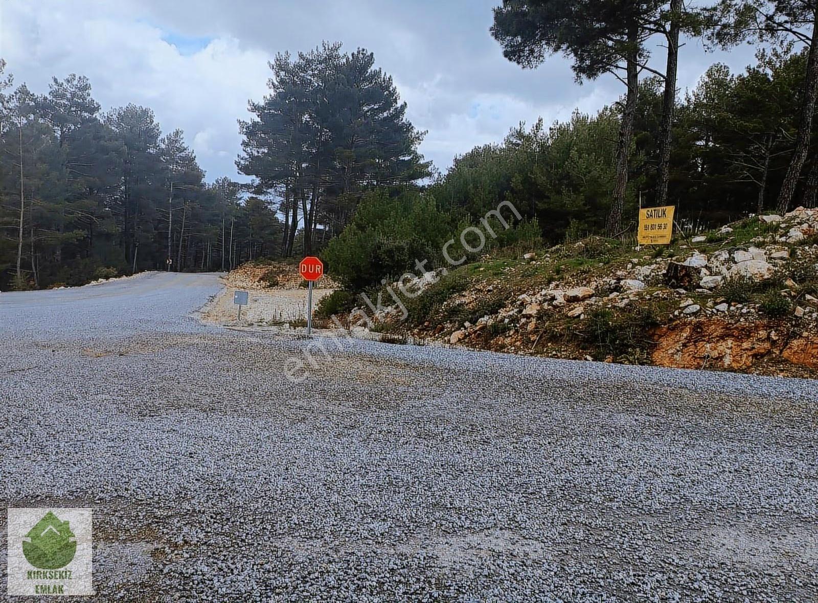 Muğla Menteşe Kozağaçta Orman İçinde Yolu Olan 3542 M² Tarla... - Görsel 9