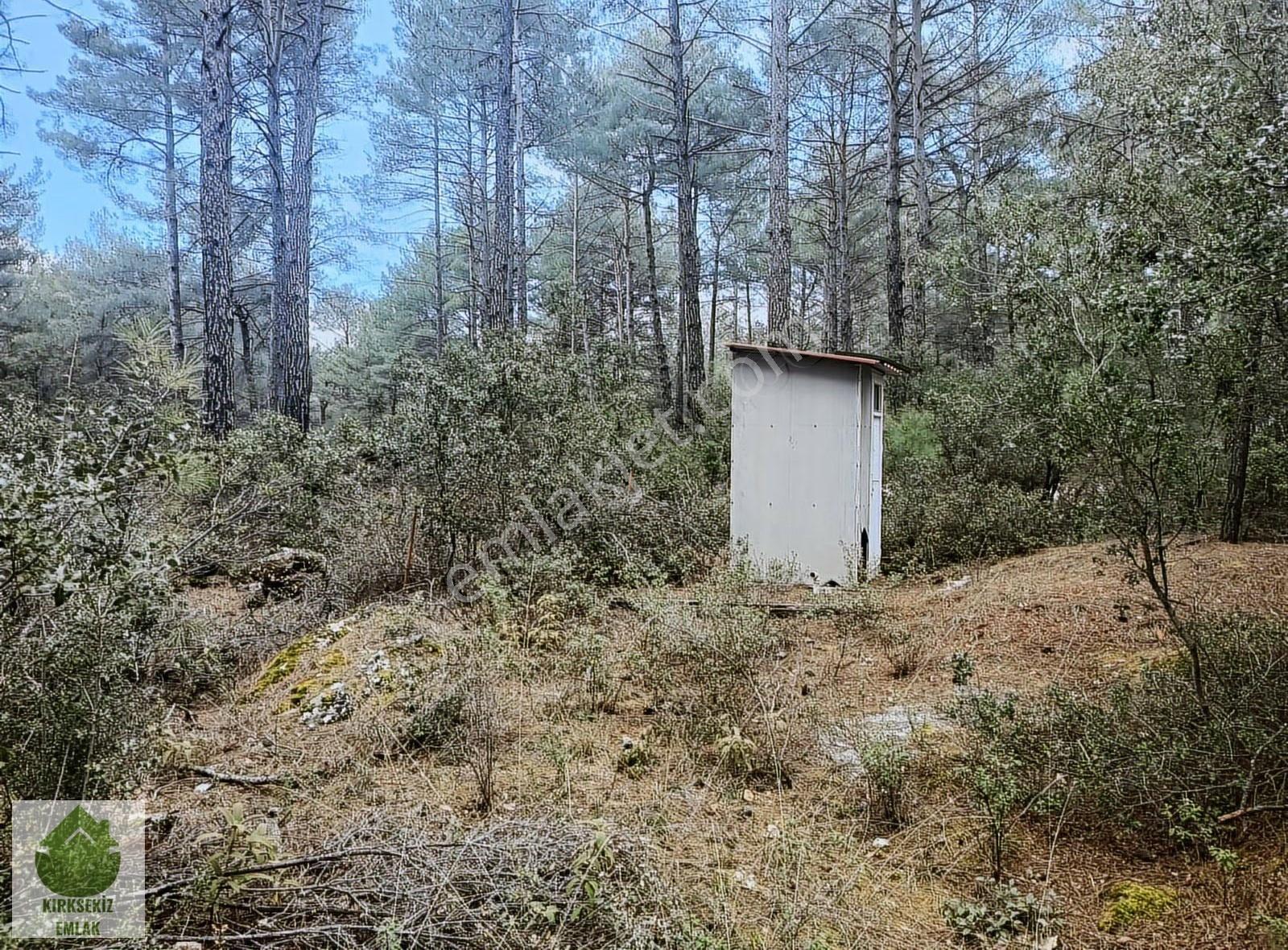 Muğla Menteşe Kozağaçta Orman İçinde Yolu Olan 3542 M² Tarla... - Görsel 17
