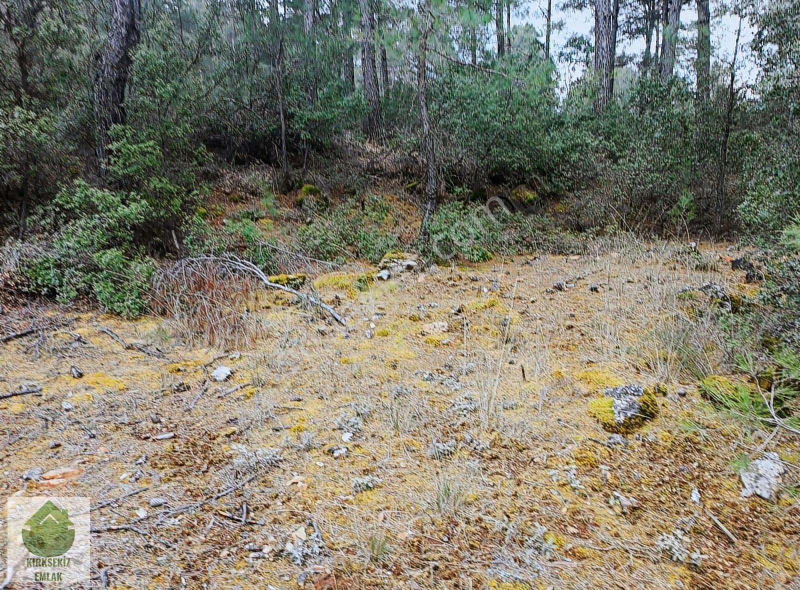 Muğla Menteşe Kozağaçta Orman İçinde Yolu Olan 3542 M² Tarla... - Görsel 30