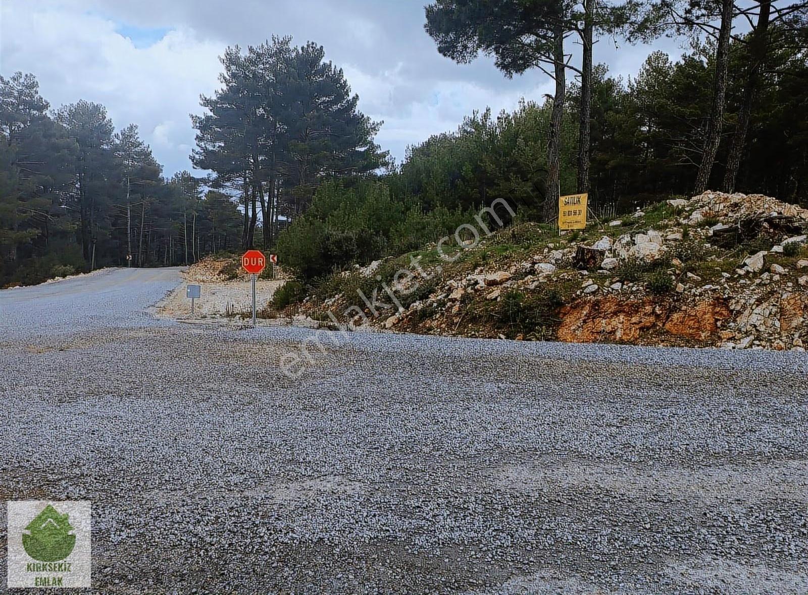 Muğla Menteşe Kozağaçta Orman İçinde Yolu Olan 3542 M² Tarla... - Görsel 8