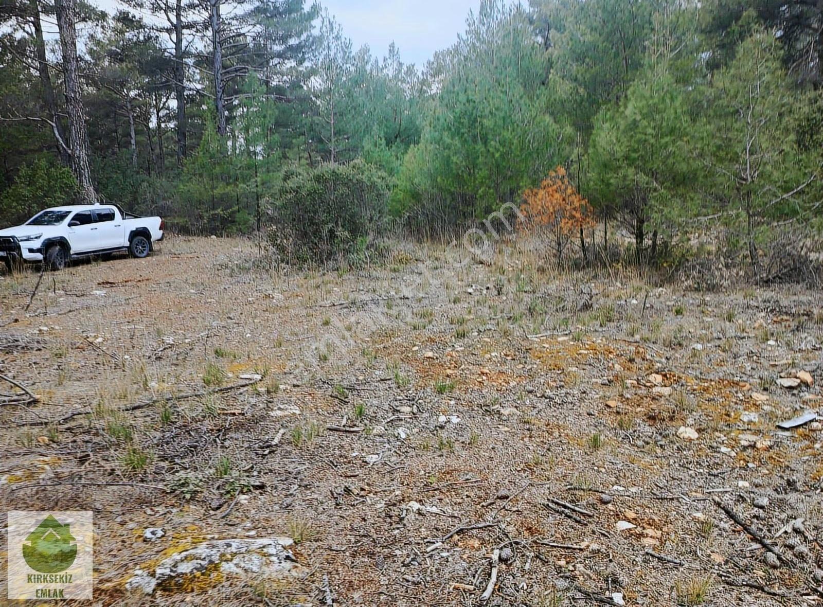 Muğla Menteşe Kozağaçta Orman İçinde Yolu Olan 3542 M² Tarla... - Görsel 3