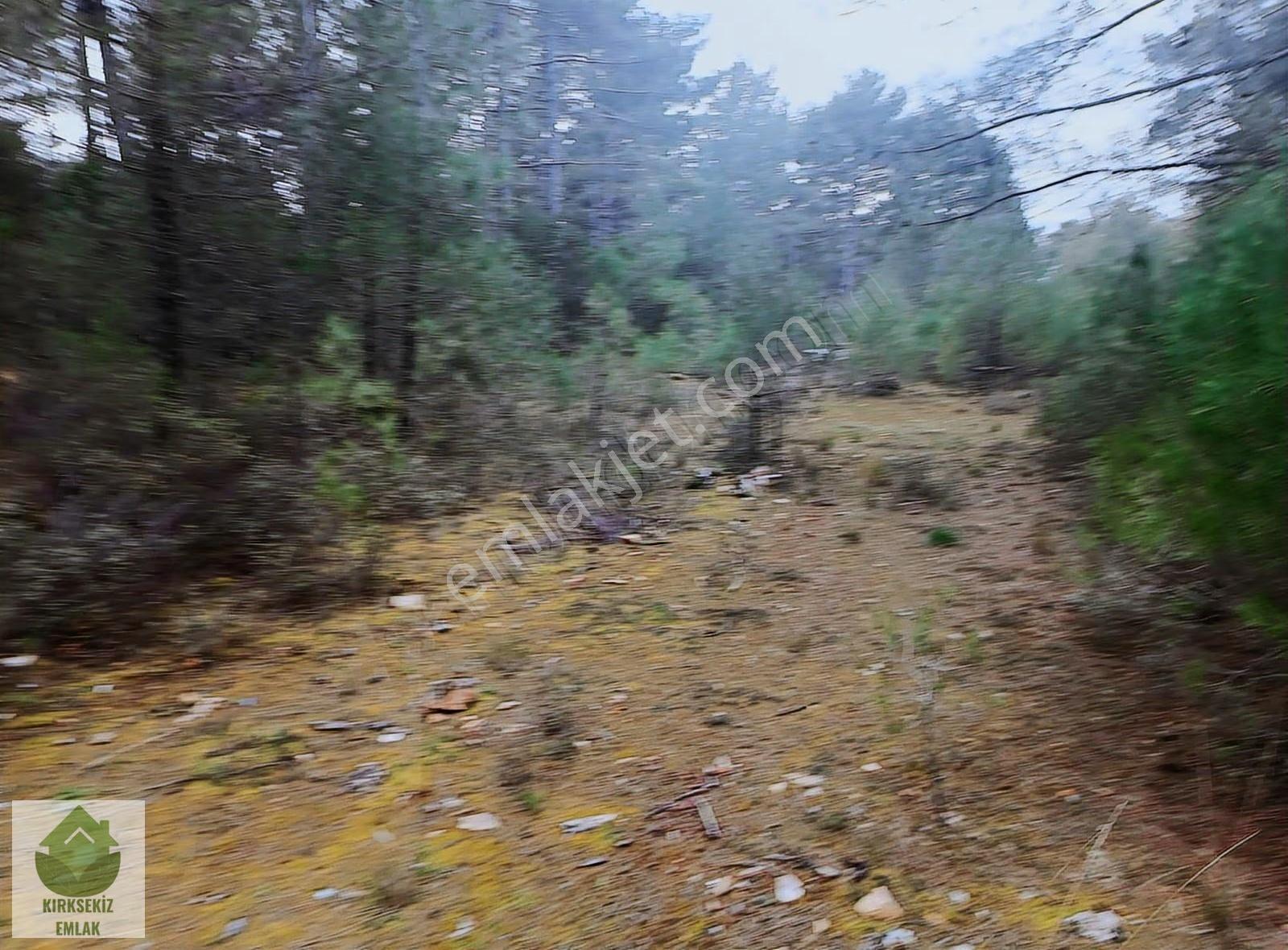 Muğla Menteşe Kozağaçta Orman İçinde Yolu Olan 3542 M² Tarla... - Görsel 33