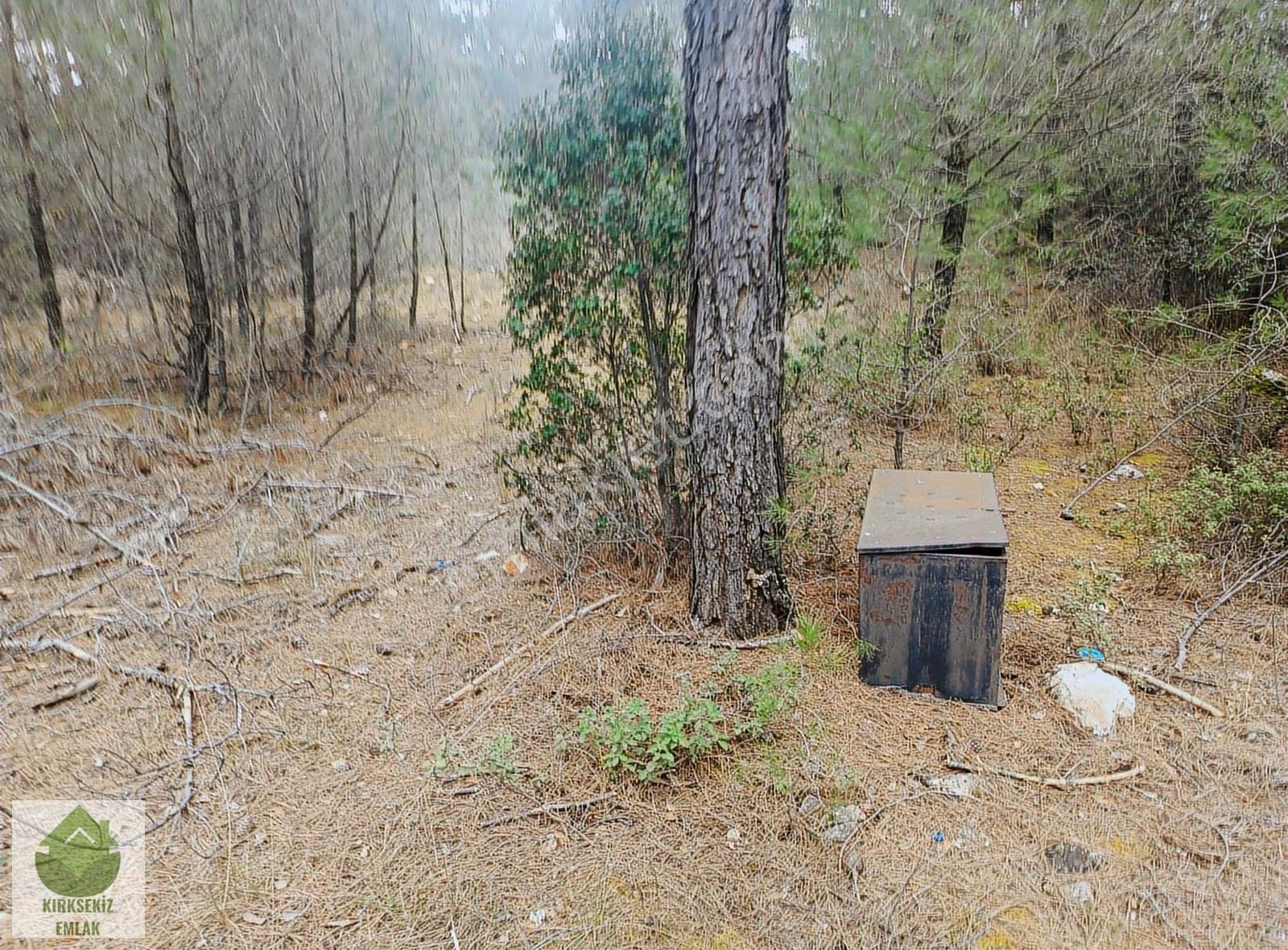 Muğla Menteşe Kozağaçta Orman İçinde Yolu Olan 3542 M² Tarla... - Görsel 5