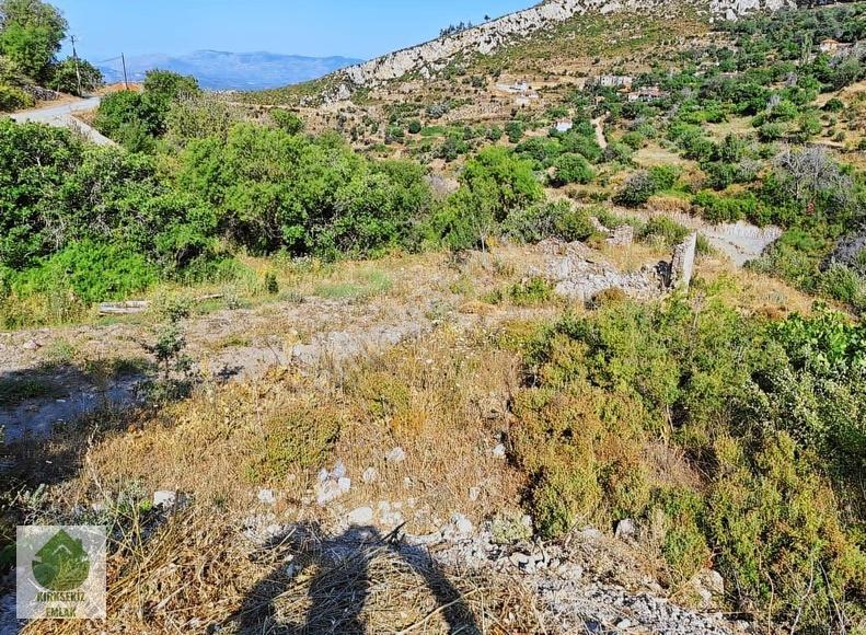 Muğla Menteşe Zeytinköyde Satılık Kargir Evli 668 M² Arsa ... - Görsel 6