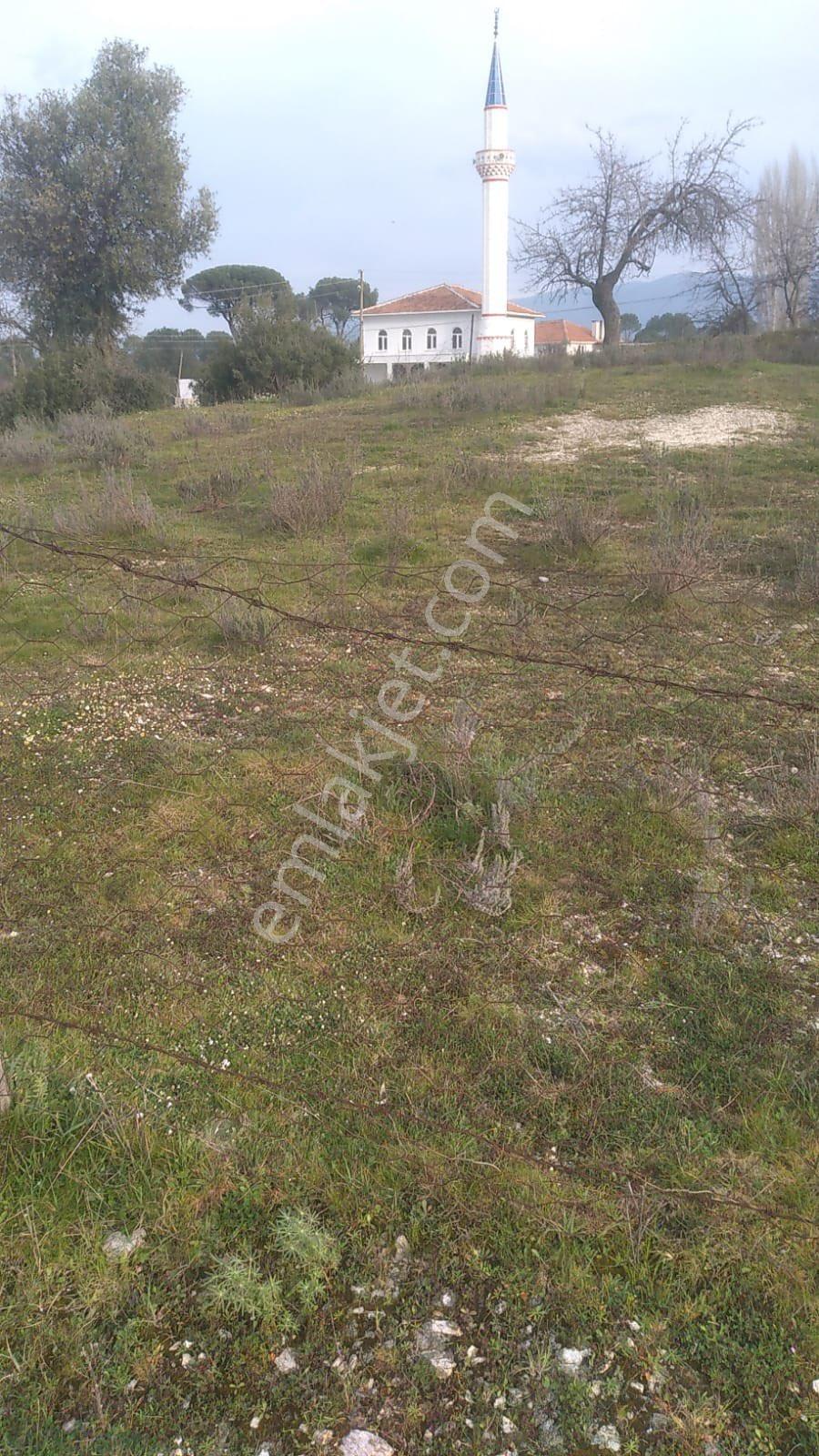 Muğla Milas Çamlııurt Mahallesinde Satılık Arsa - Görsel 4