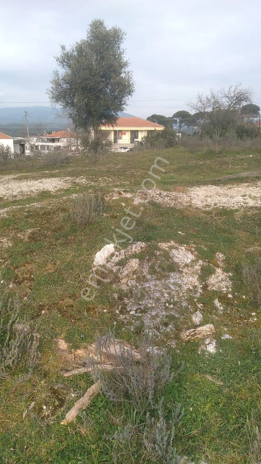Muğla Milas Çamlııurt Mahallesinde Satılık Arsa