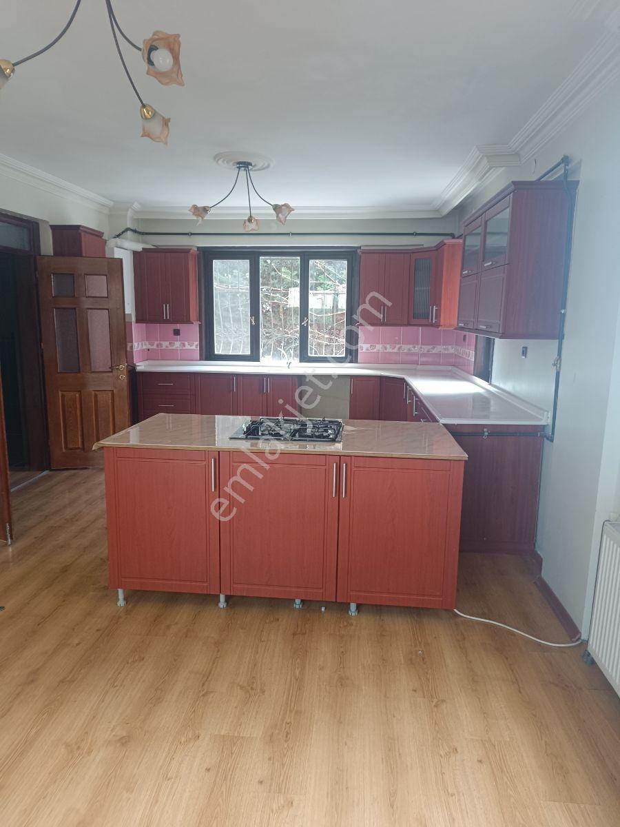 Beyhekimde Kiralık Ofis, Dükkan Veya Villa 6+1 - Görsel 3