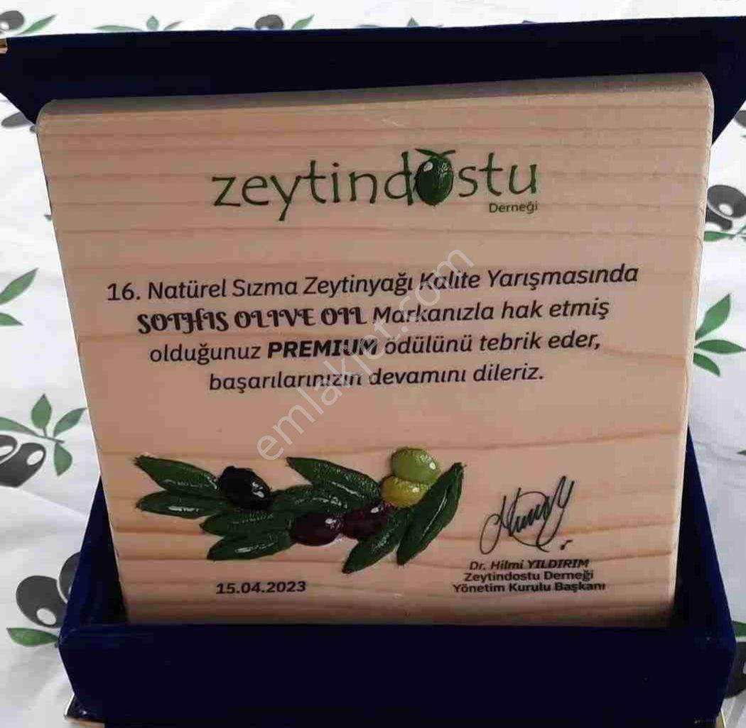 Türkıye'nın Enıyı Zeytin Yağını Veren Zeytinlik - Görsel 4