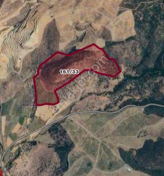 Manisa Salihli Kemer'de Satılık Yatırımlık Arazi - Görsel 3