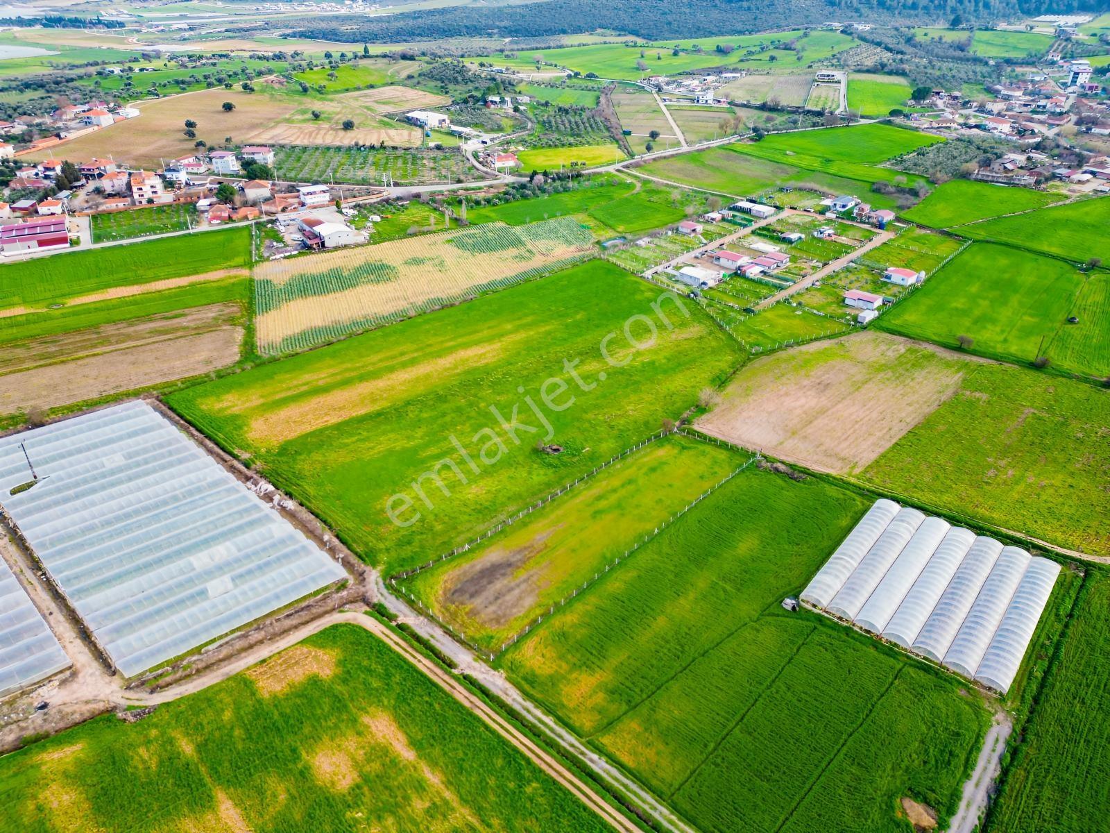 9281m2 Tek Tapu Dev Arazi Bu Fiyata Emsali Yok - Görsel 10