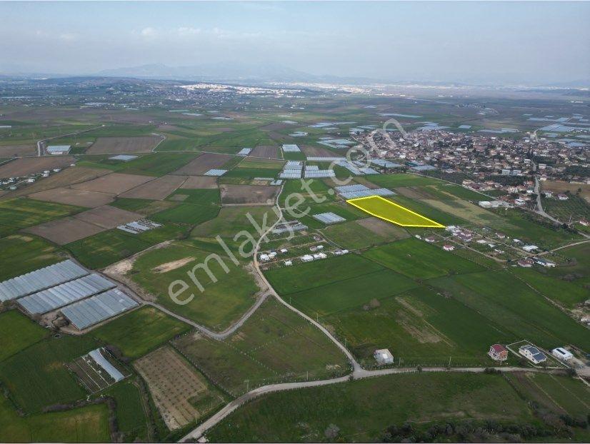 9281m2 Tek Tapu Dev Arazi Bu Fiyata Emsali Yok - Görsel 3