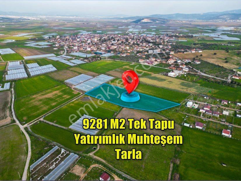 9281m2 Tek Tapu Dev Arazi Bu Fiyata Emsali Yok