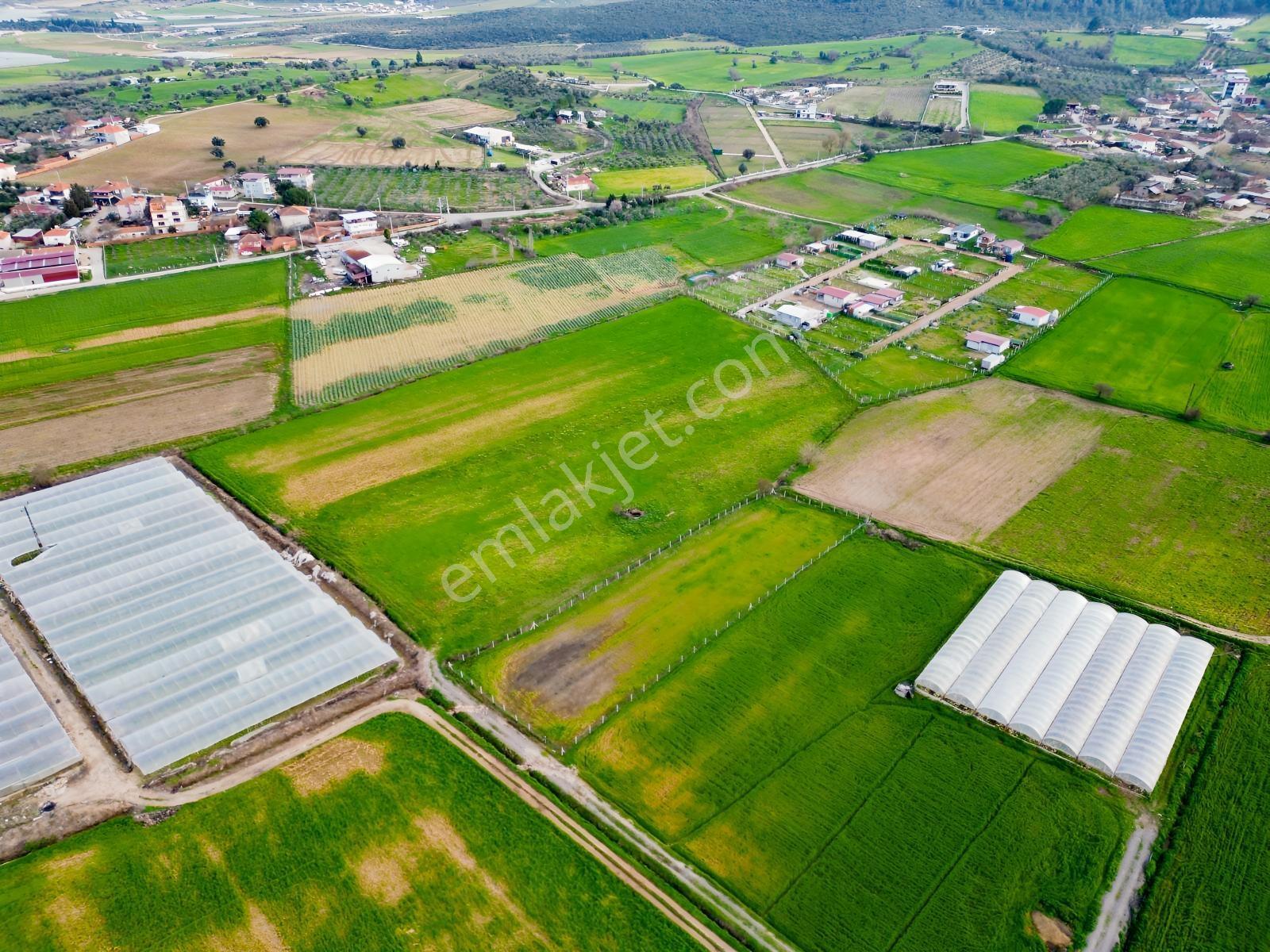 9281m2 Tek Tapu Dev Arazi Bu Fiyata Emsali Yok - Görsel 6