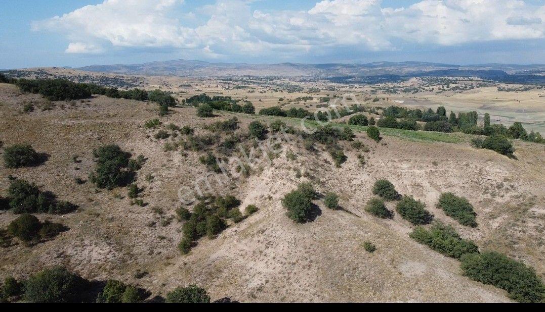Kurtbogazı Manzaralı Anayol Cephelı 20 Dönüm Çiftlik İçin Arazi - Görsel 6