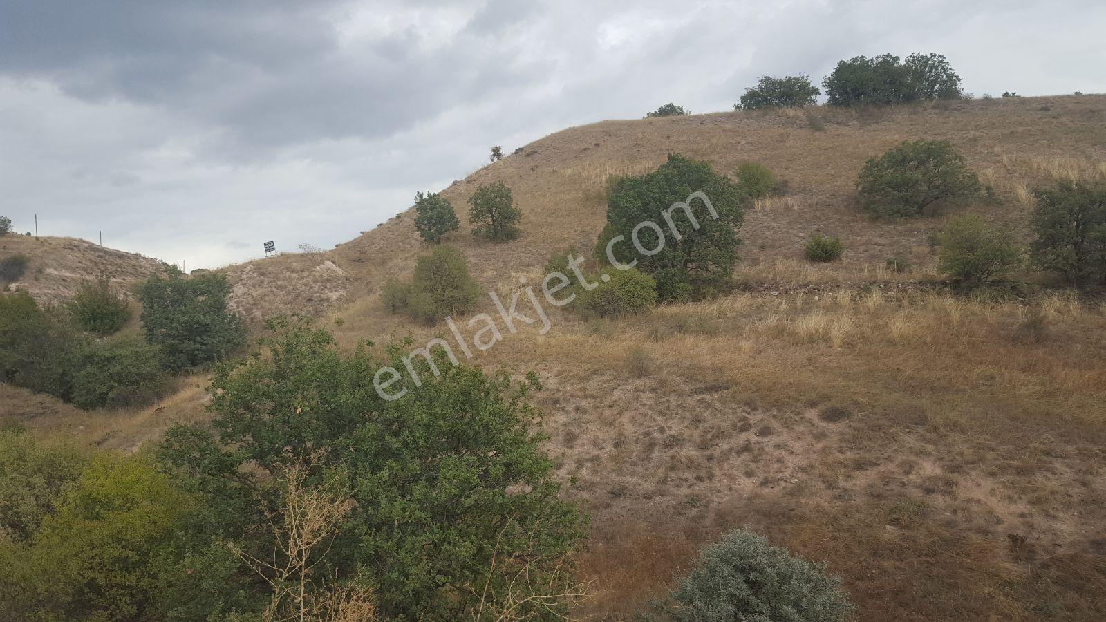 Kurtbogazı Manzaralı Anayol Cephelı 20 Dönüm Çiftlik İçin Arazi - Görsel 32