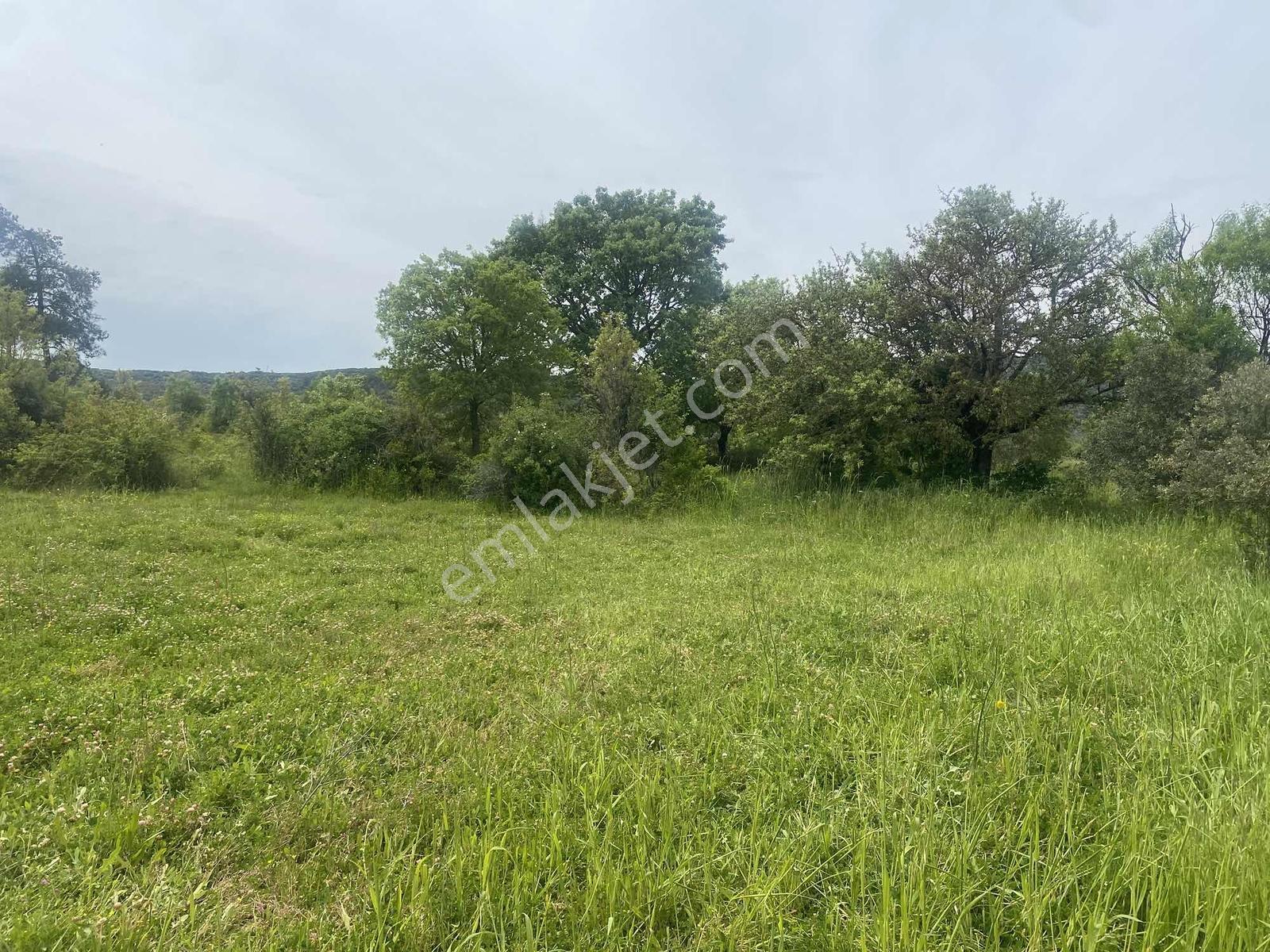Muğla Menteşe Akkaya Satılık 1453 M² Tarla - Görsel 35