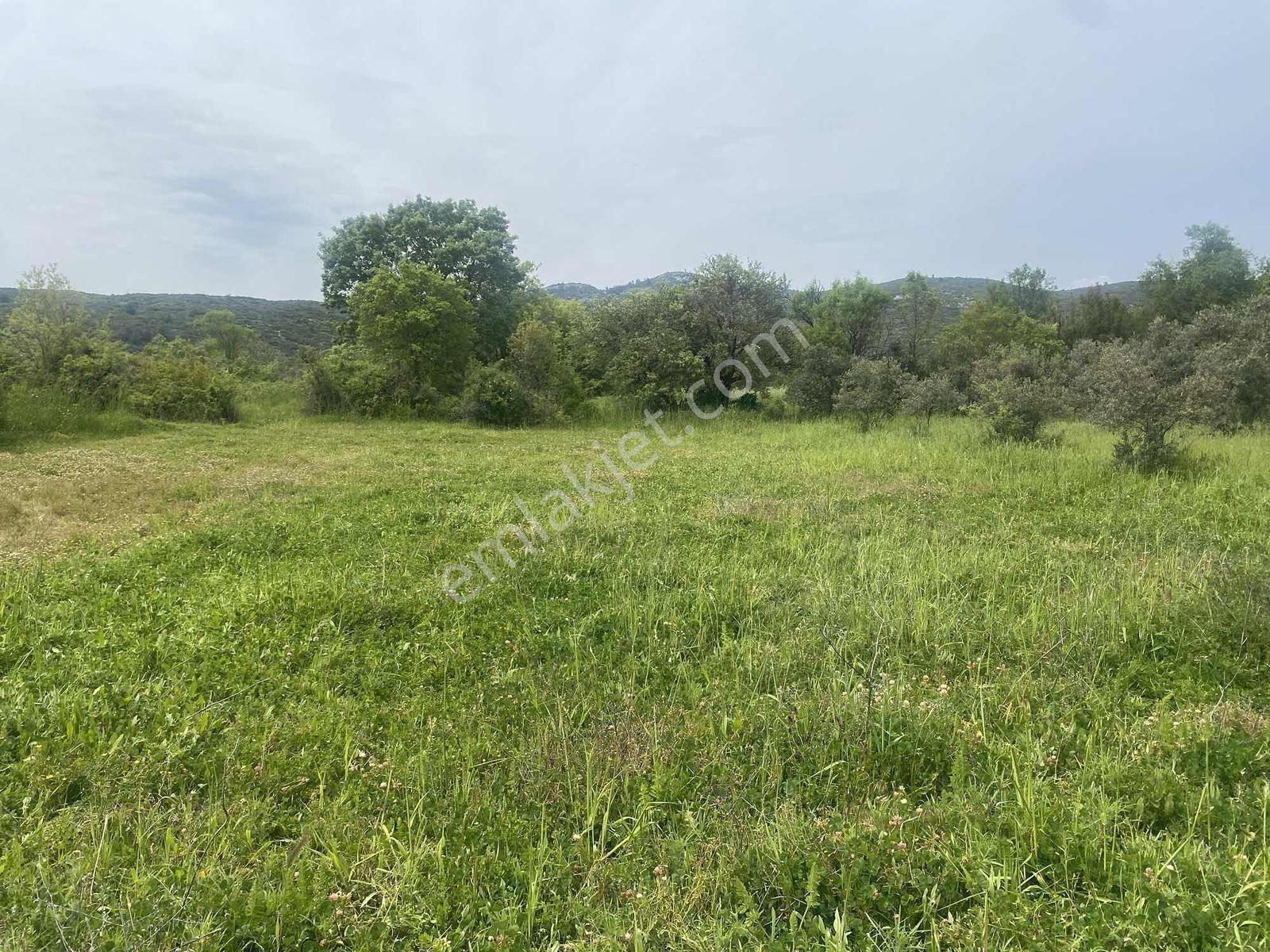 Muğla Menteşe Akkaya Satılık 1453 M² Tarla - Görsel 23