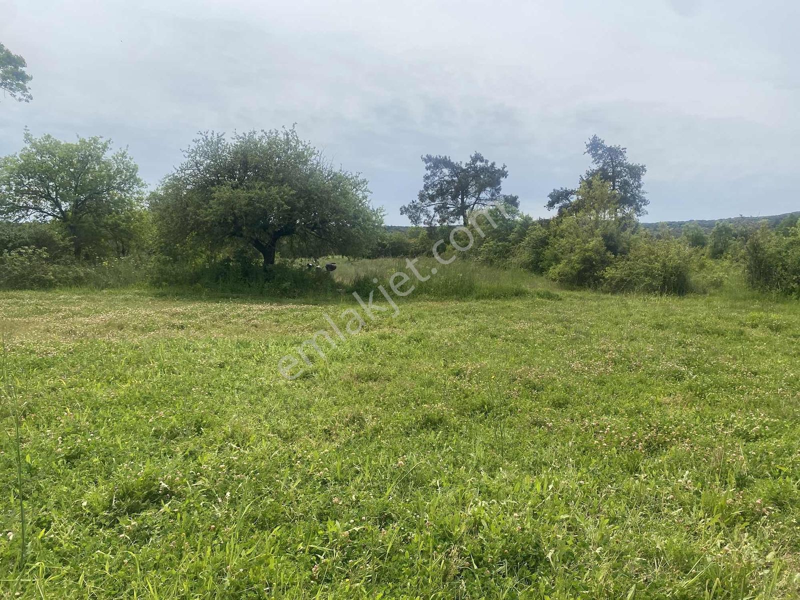 Muğla Menteşe Akkaya Satılık 1453 M² Tarla - Görsel 11