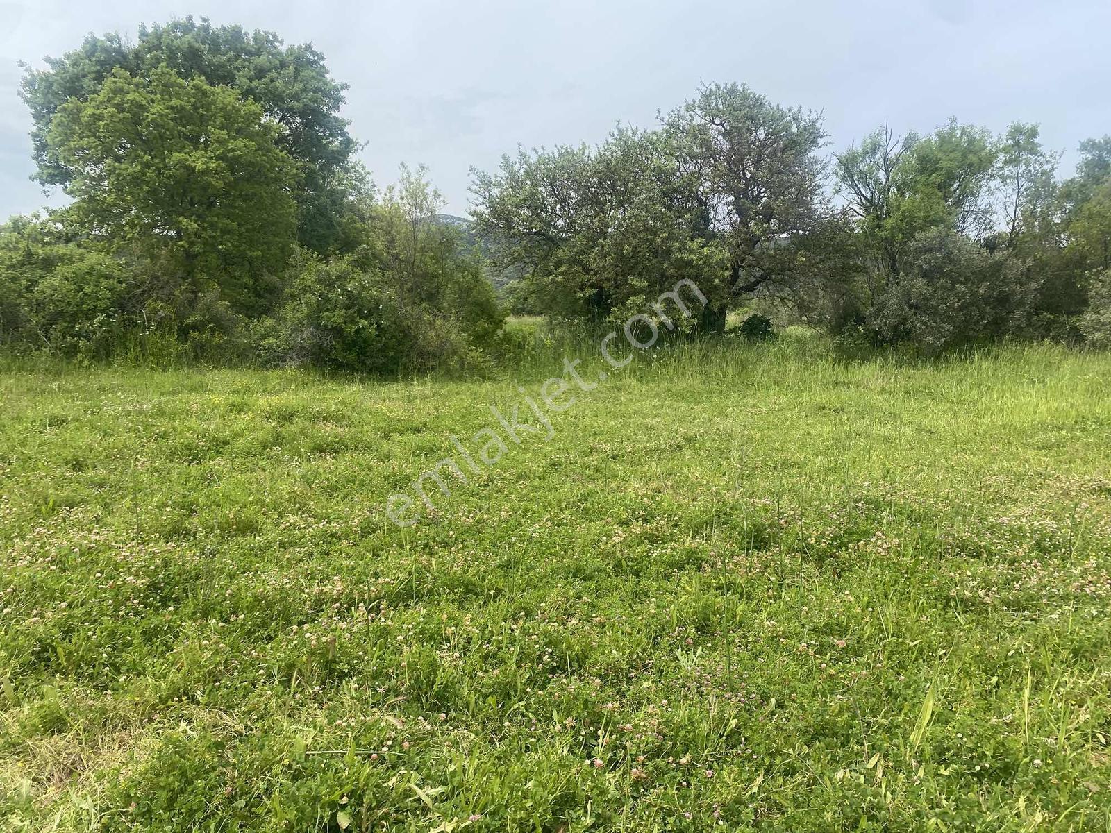 Muğla Menteşe Akkaya Satılık 1453 M² Tarla - Görsel 17