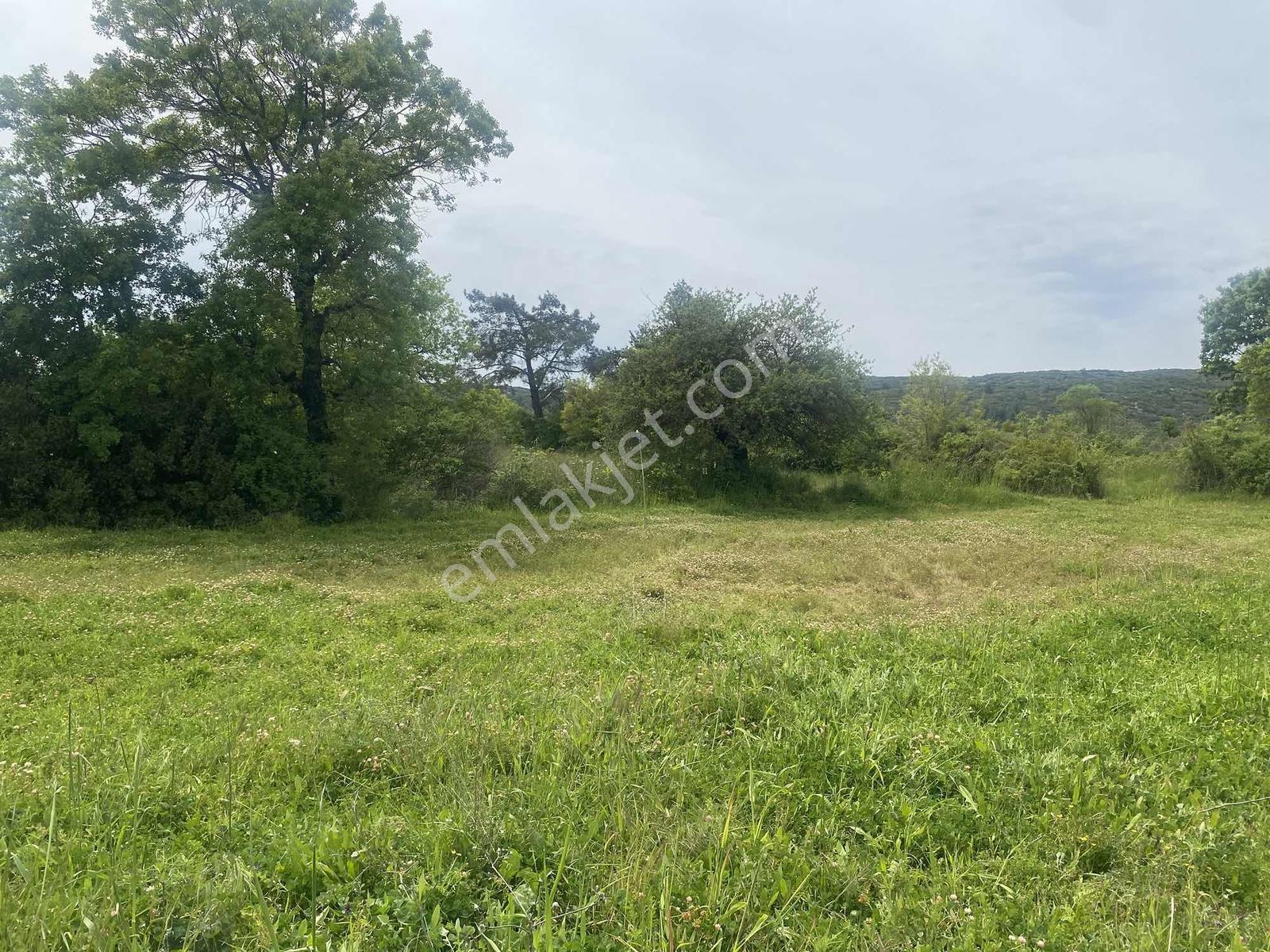 Muğla Menteşe Akkaya Satılık 1453 M² Tarla - Görsel 25